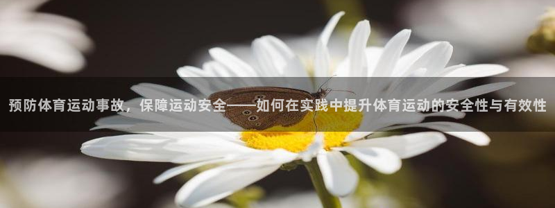 中欧体育(zoty)官网：预防体育运动事故，保障运动安全——如何在实践中提升体育运动的安全性与有效性