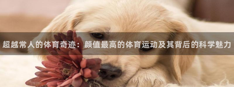 中欧体育app：超越常人的体育奇迹：颜值最高的体育运动及其背后的科学魅力