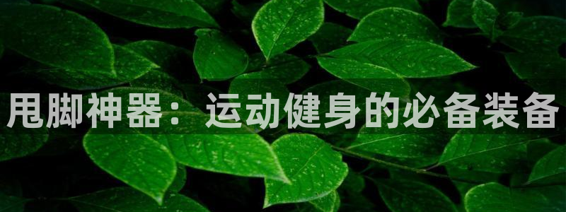 中欧体育客服：甩脚神器：运动健身的必备装备