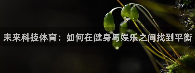 中欧体育网站：未来科技体育：如何在健身与娱乐之间找到平衡
