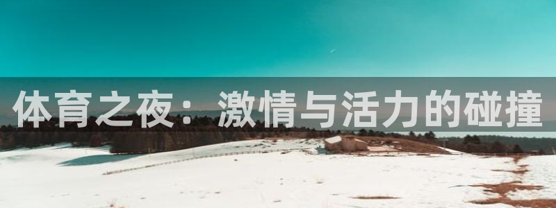 中欧体育最新地址：体育之夜：激情与活力的碰撞