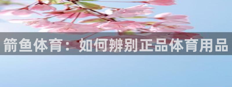 zyty中欧体育平台：箭鱼体育：如何辨别正品体育用品