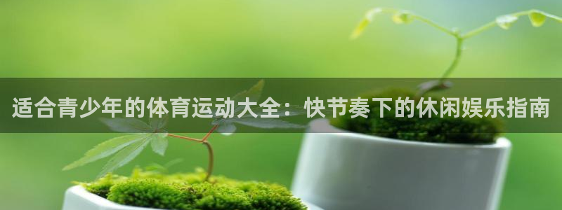 zyty中欧体育平台：适合青少年的体育运动大全：快节奏下的休闲娱乐指南